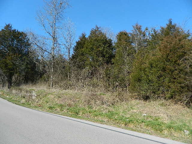 DSCN0574