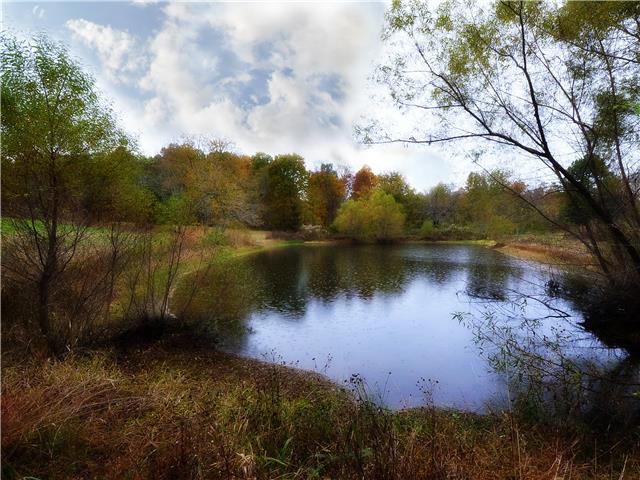 7183 Harper Road Joelton, TN 37080 - Photo 18 of 18 Gallery Image 18
