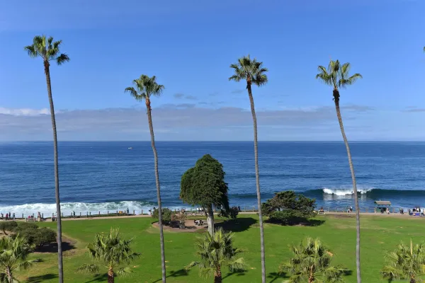 a vase of flowers sitting on a table