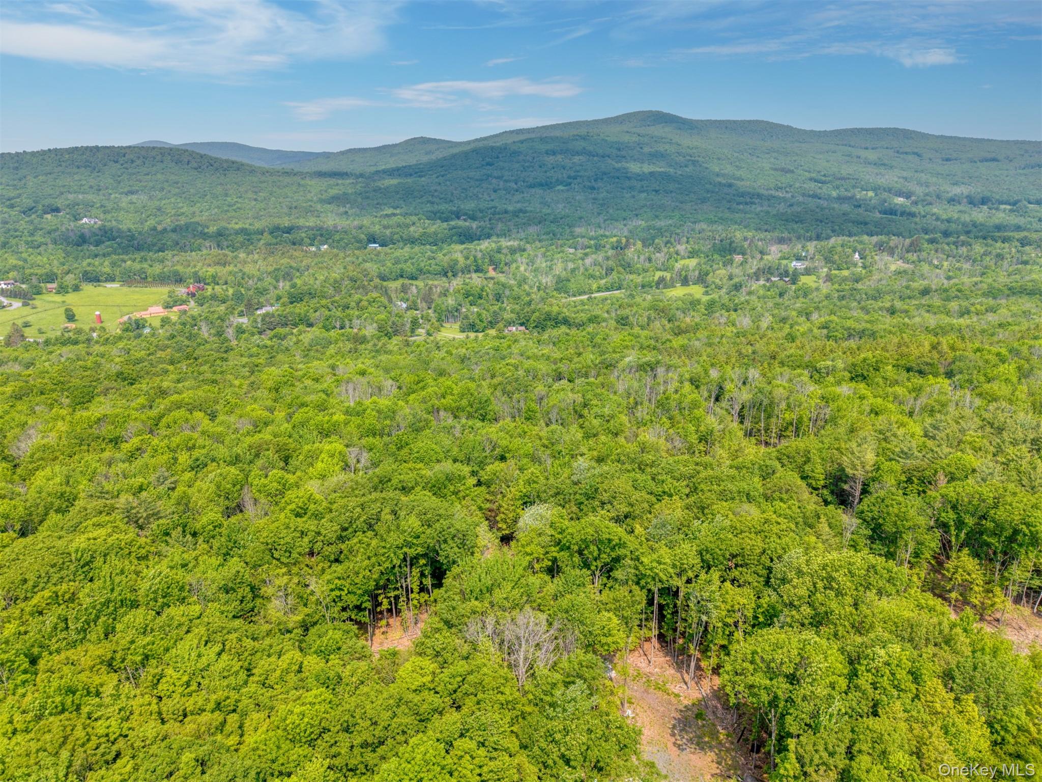 Tbd Boulder Brook Road Windham, NY 12496 - Photo 14 of 46 View of mountain background with a heavily wooded area
