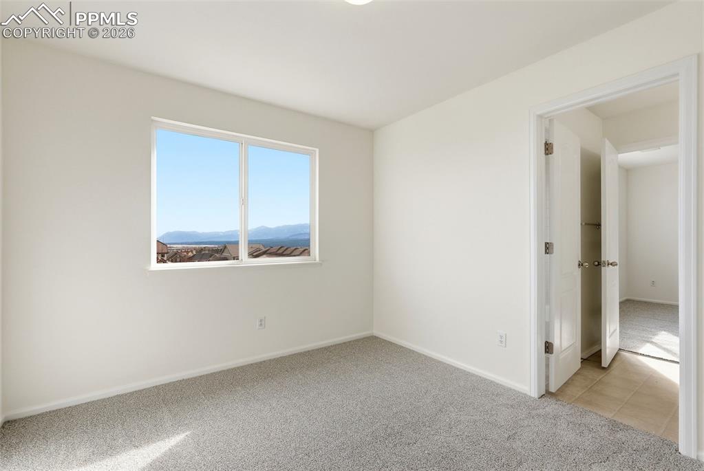 1424 Diamond Rim Drive Colorado Springs, CO 80921 - Photo 36 of 48