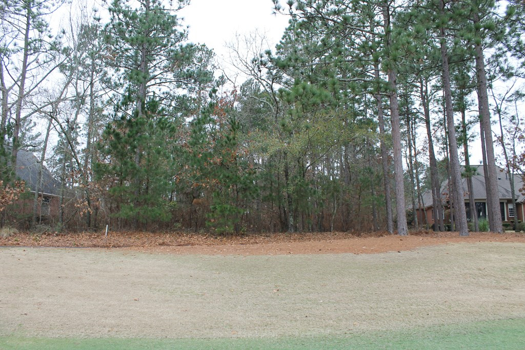 133 Foxhound Run Road Aiken, SC 29803 - Photo 2 of 8