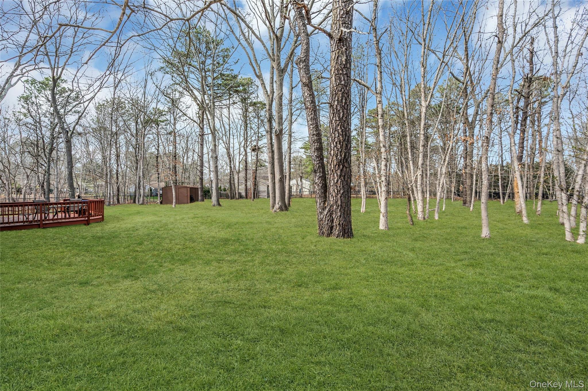 7 Hastings Drive Ridge, NY 11961 - Photo 33 of 33 a view of a park with large trees