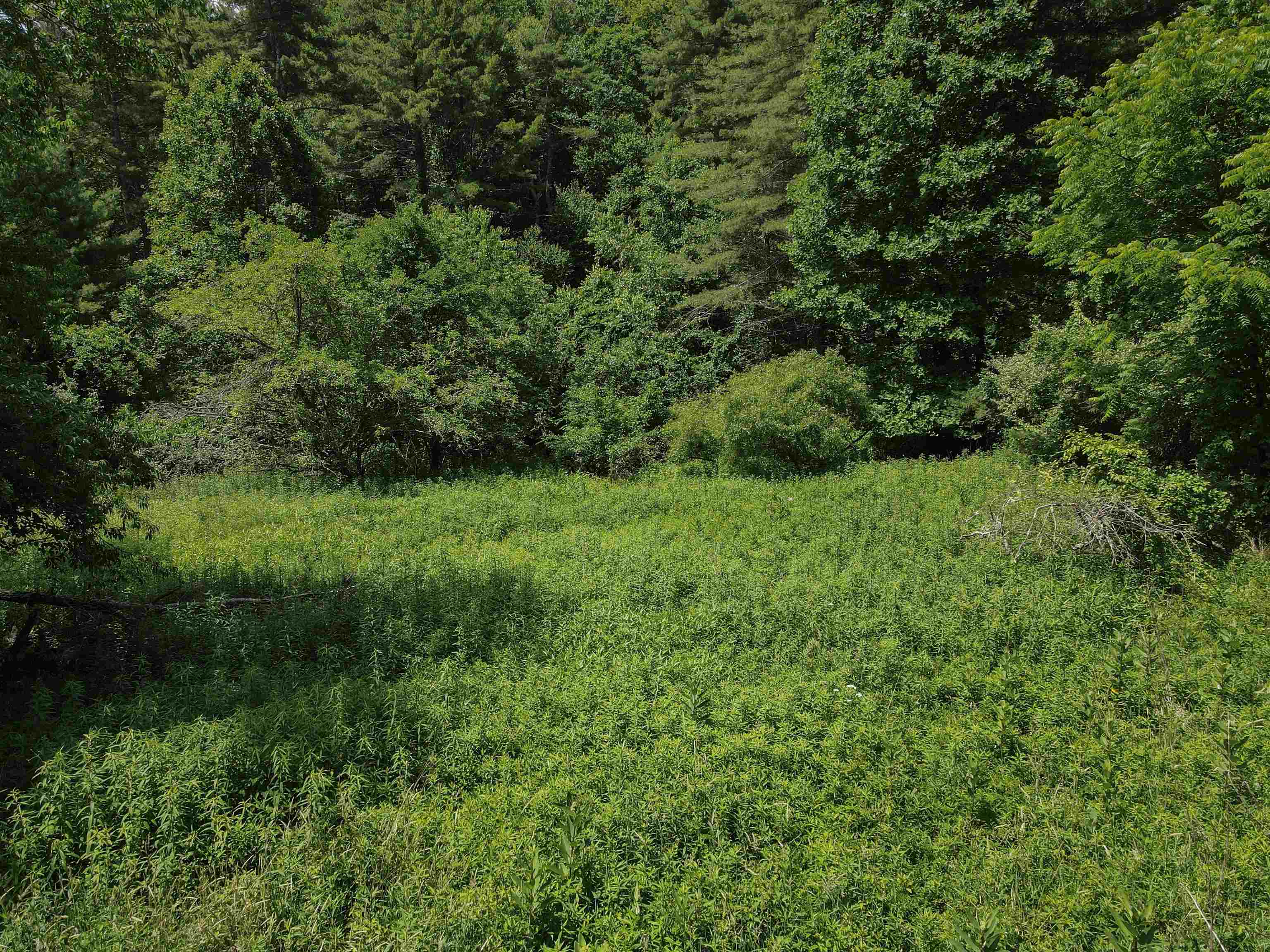 Tbd Kings Store Road Northeast Floyd, VA 24091 - Photo 1 of 28 Gallery Image 1