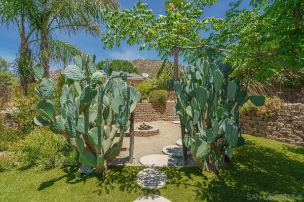 a view of a yard with plants