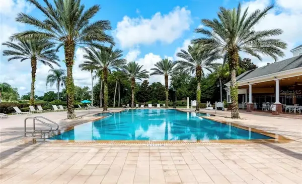 a view of a swimming pool with palm trees