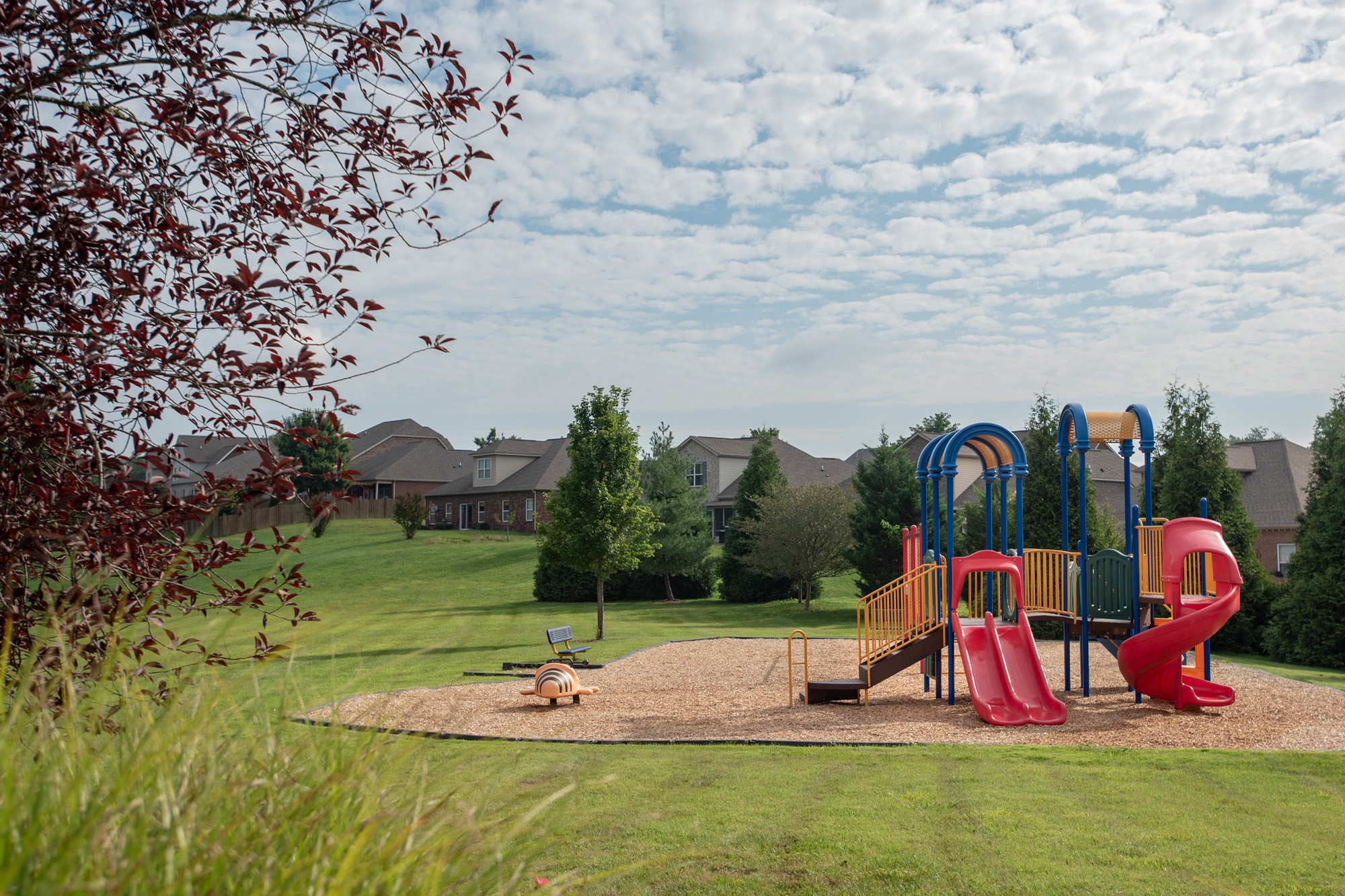 1519 Cedarbrooke Lane Lebanon, TN 37090 - Photo 42 of 45 a view of outdoor space with garden and entertaining space