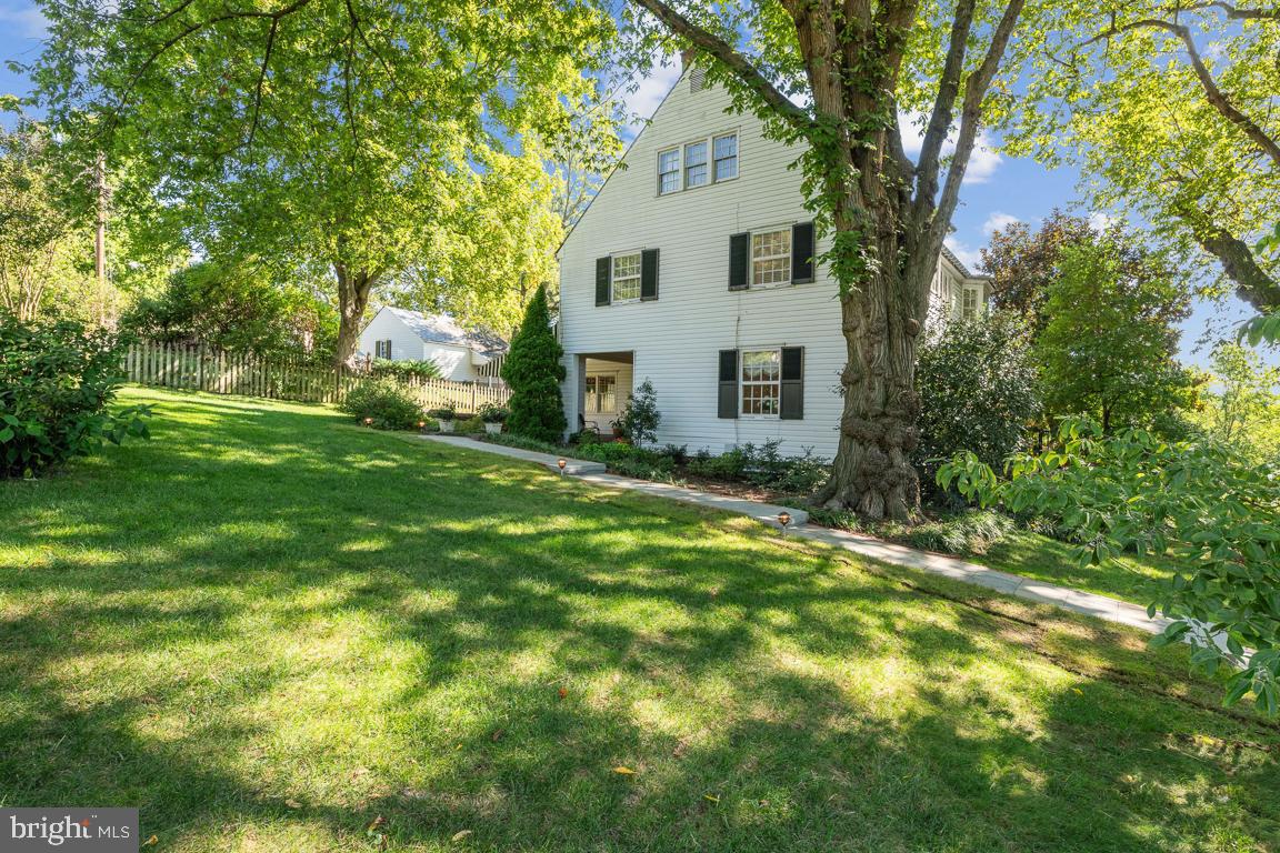 218 Tunbridge Road Baltimore, MD 21212 - Photo 4 of 55 Gorgeous yard with huge, rare elm trees