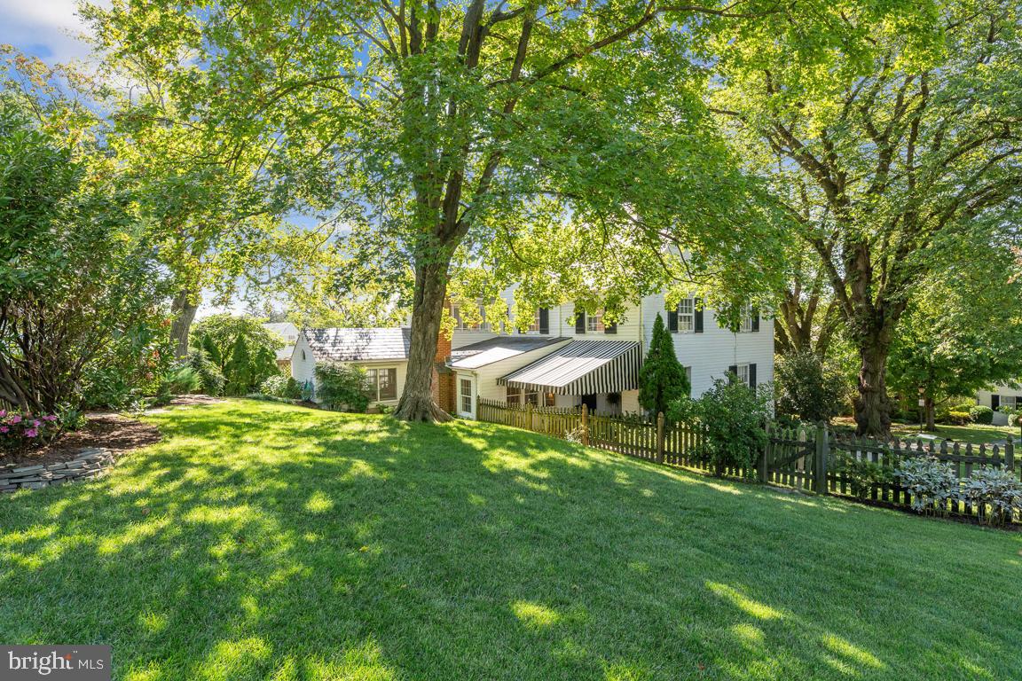 218 Tunbridge Road Baltimore, MD 21212 - Photo 46 of 55 Large yard with mature plantings