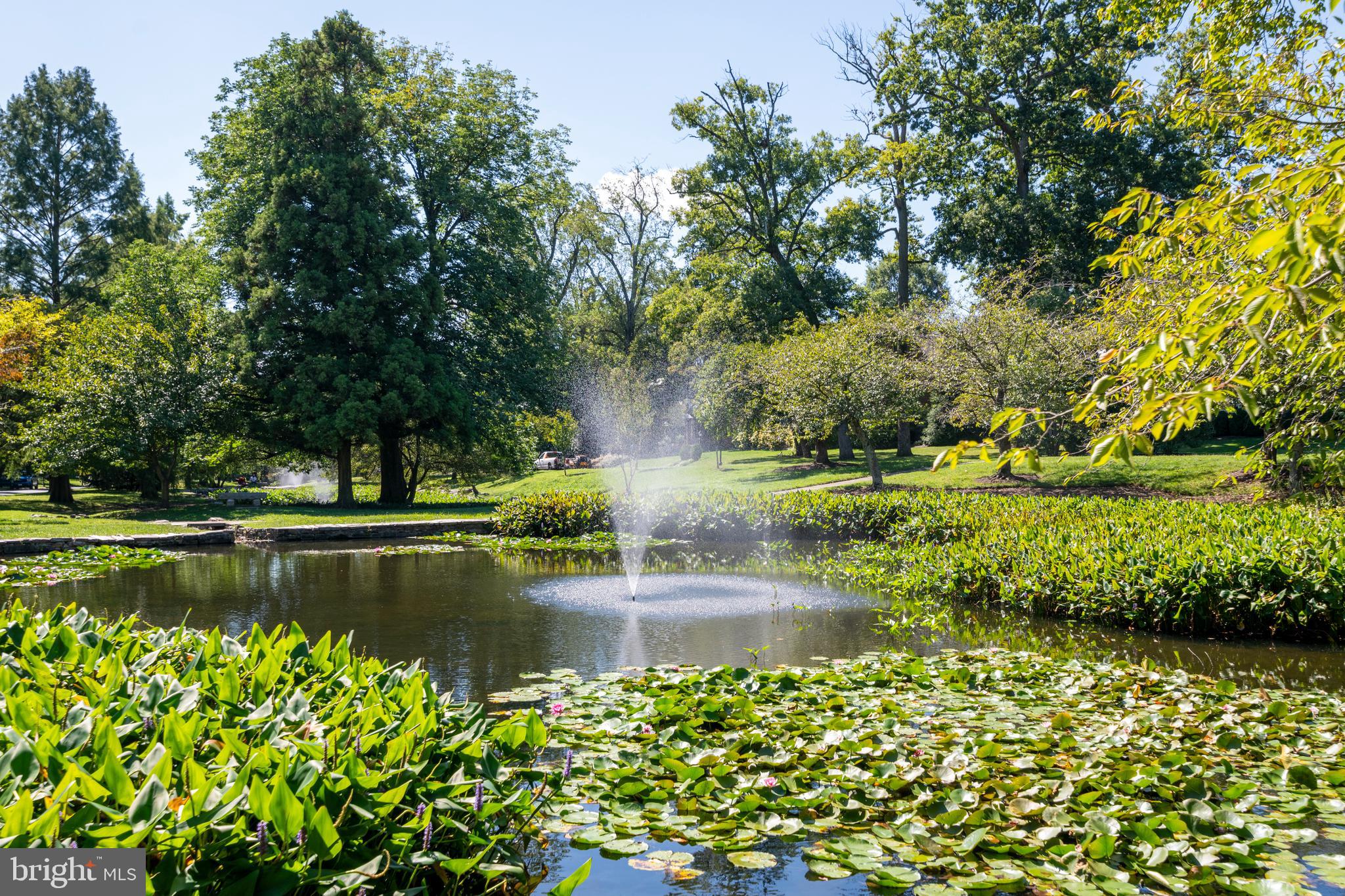 218 Tunbridge Road Baltimore, MD 21212 - Photo 50 of 55 Another view of the idyllic Lakes