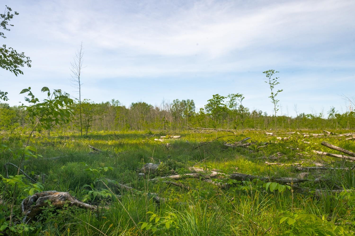 Chicago Road Redgranite, WI 54970 - Photo 24 of 37