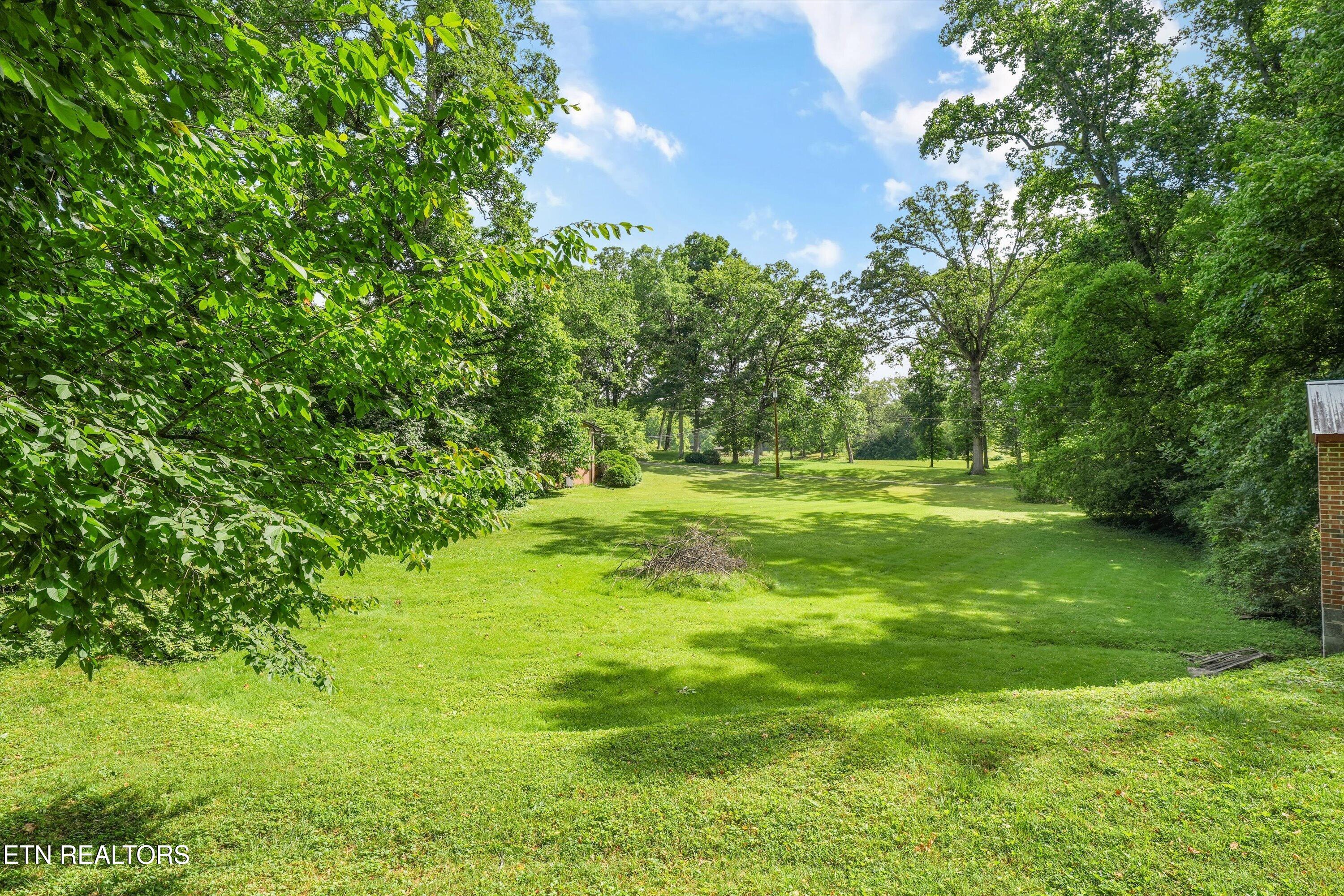 3107 Maloney Road Knoxville, TN 37920 - Photo 29 of 35 Back Yard