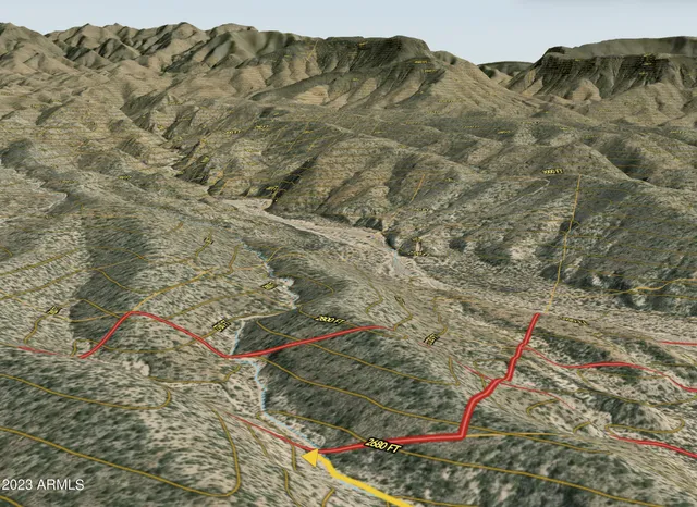 a view of a dry yard with mountain and trees