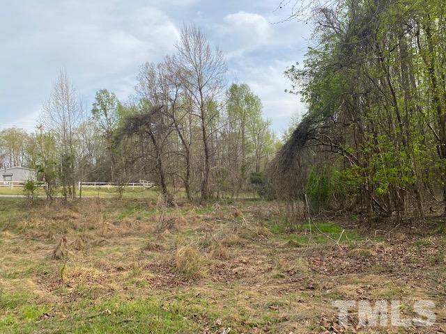 6 Lankford Street Roxboro, NC 27573 - Photo 2 of 8 a view of backyard with green space