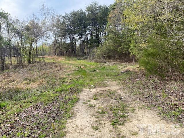 6 Lankford Street Roxboro, NC 27573 - Photo 4 of 8 a view of outdoor space with trees all around
