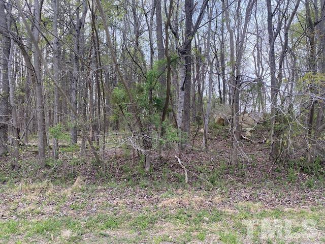 6 Lankford Street Roxboro, NC 27573 - Photo 7 of 8 a view of a forest with trees in the background