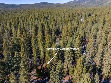 a view of a forest with mountains in the background
