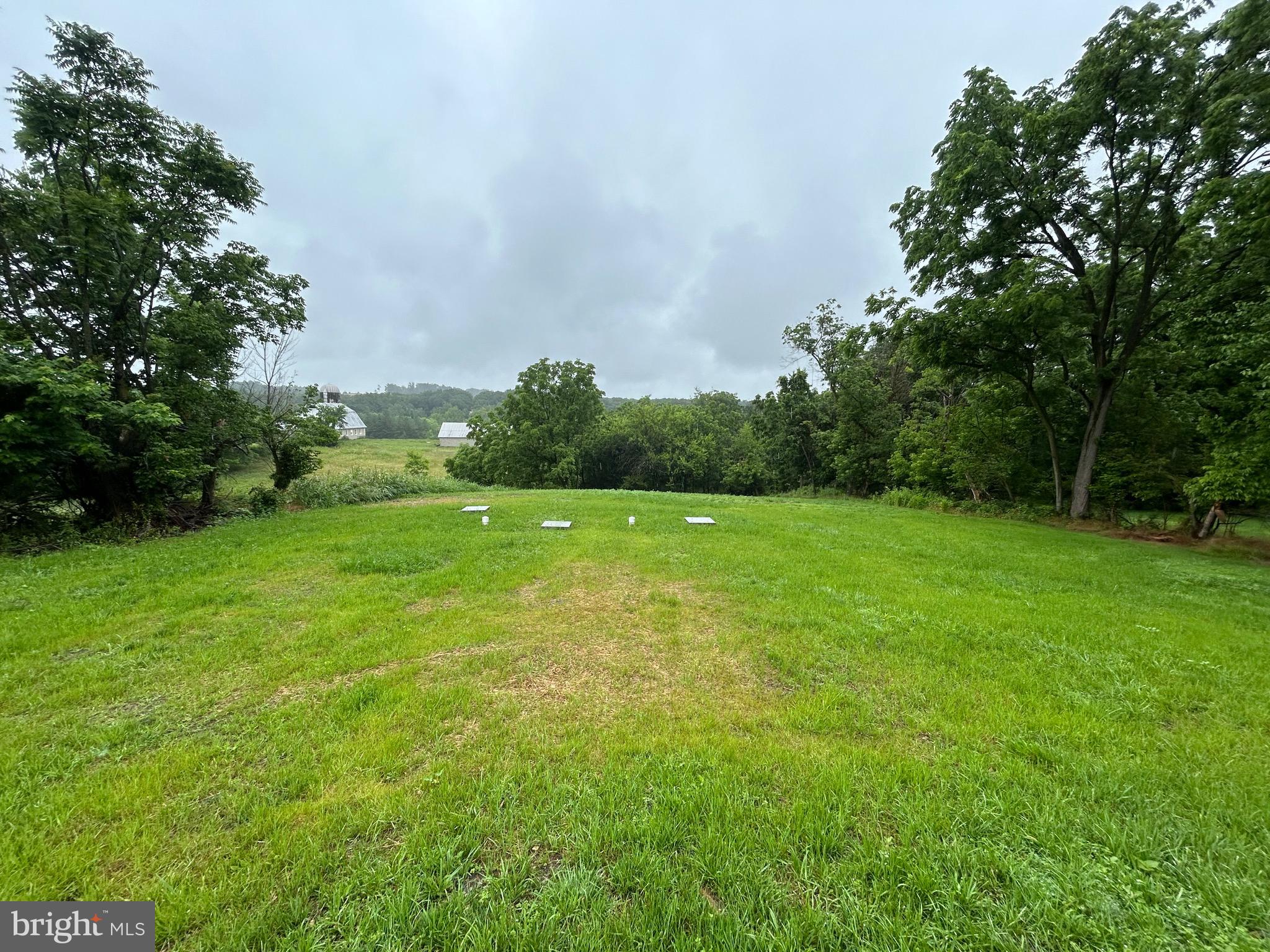 9647 Liberty Road Frederick, MD 21701 - Photo 12 of 14 a view of a grassy field with trees in the background