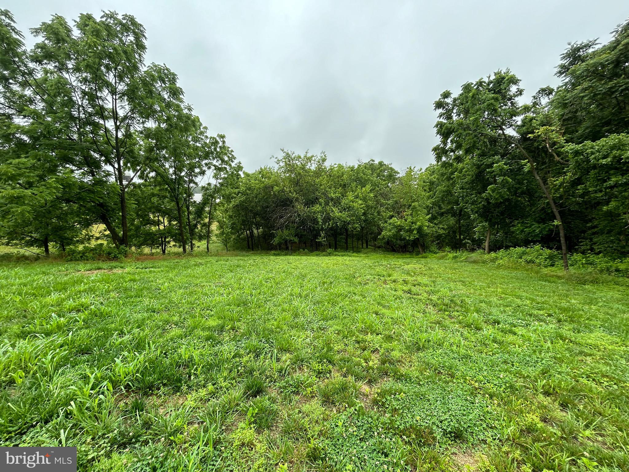 9647 Liberty Road Frederick, MD 21701 - Photo 13 of 14 a view of green field with trees in the background