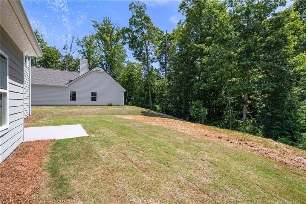 505 Charleston Place Villa Rica, GA 30180 - Photo 5 of 42
