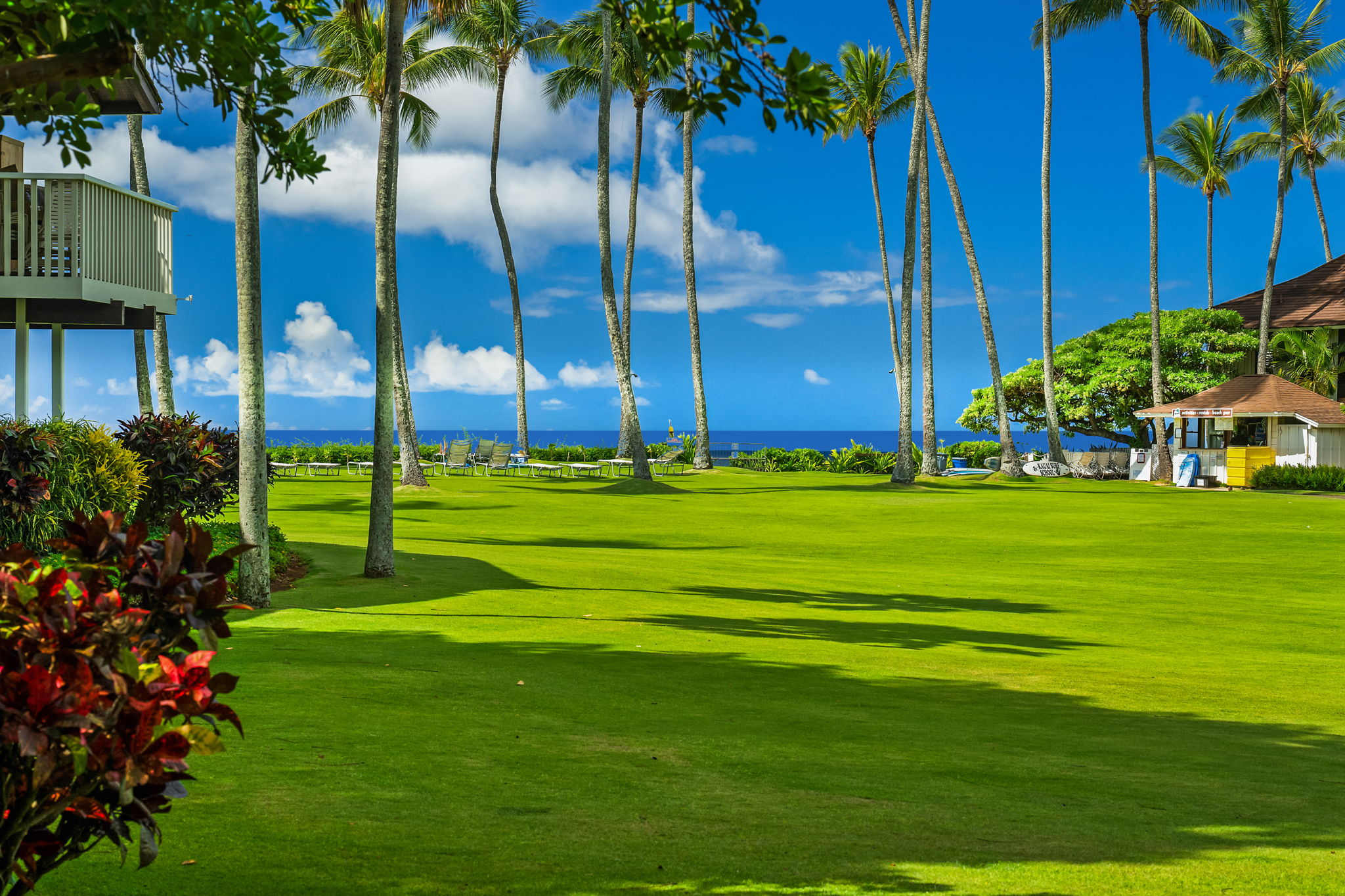 2253 Poipu Road, Unit 26 Koloa, HI 96756 - Photo 2 of 21 a huge green field with lots of palm trees