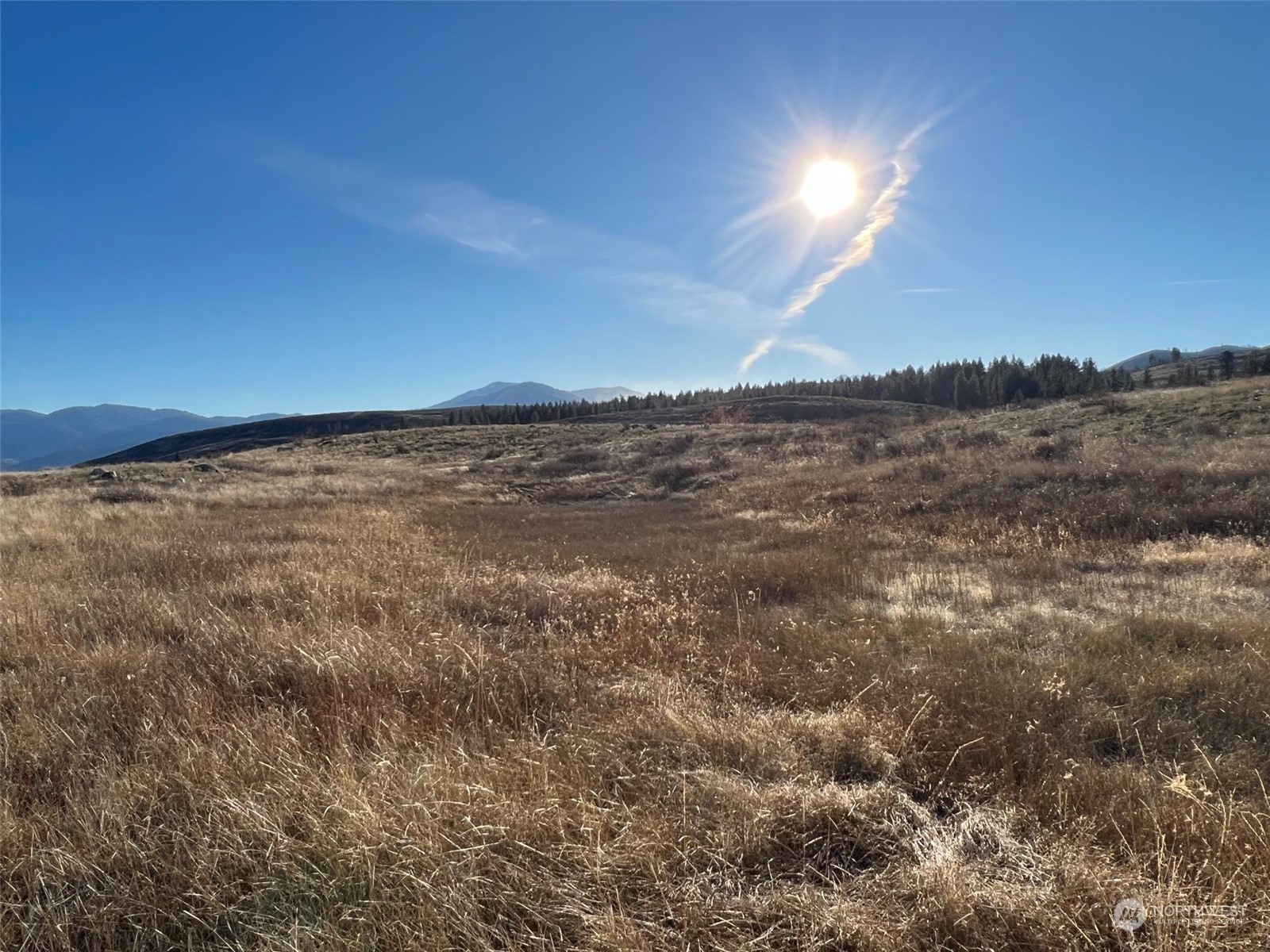 71 B Signal Hill Road Twisp, WA 98856 - Photo 32 of 34 Gallery Image 32