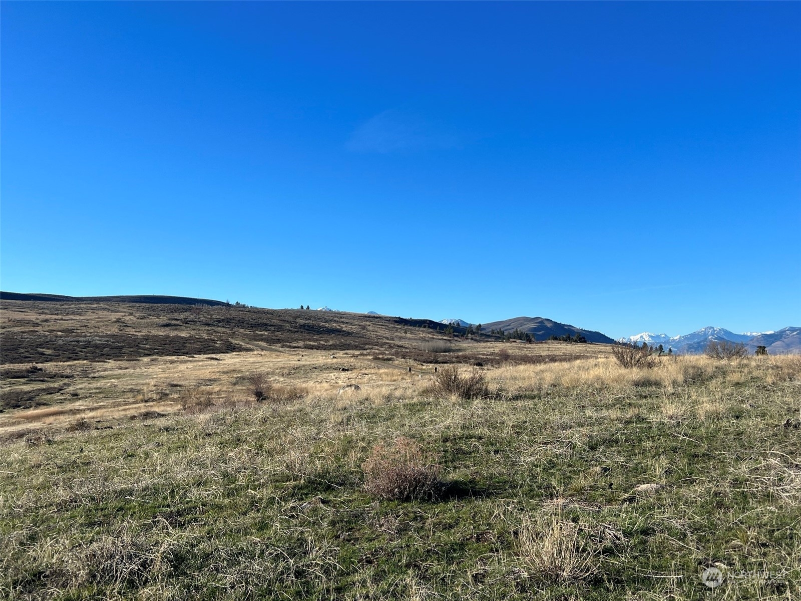 71 B Signal Hill Road Twisp, WA 98856 - Photo 10 of 34 Gallery Image 10