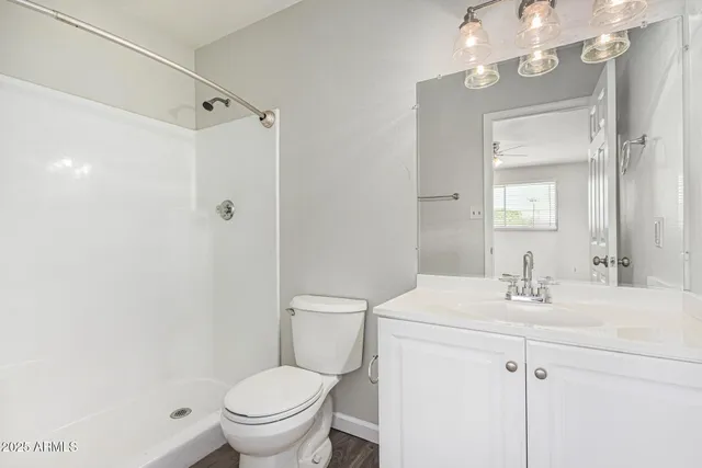 a bathroom with a sink a toilet a mirror a vanity and shower