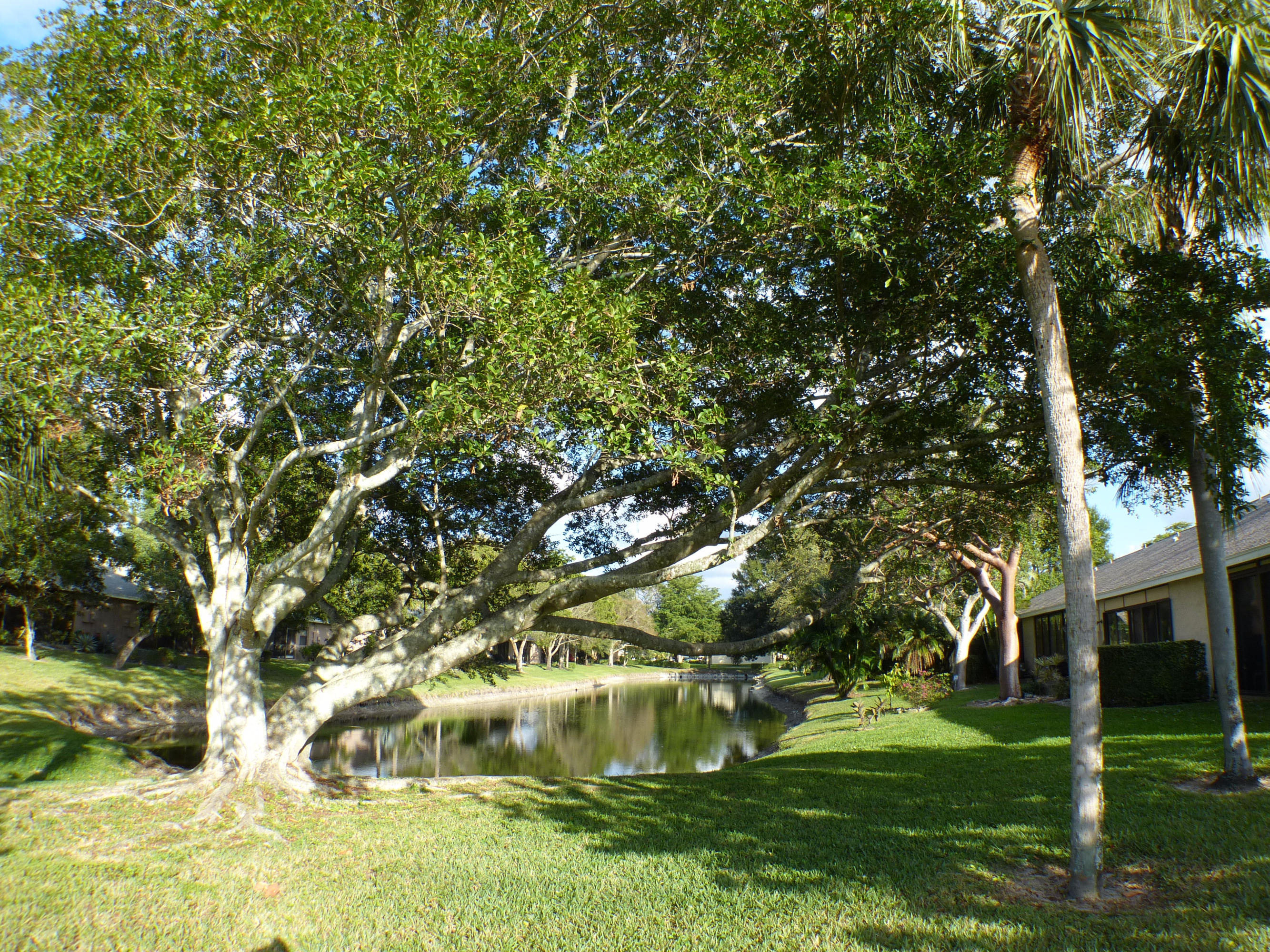 11003 Water Oak Manor Boca Raton, FL 33498 - Photo 28 of 28 P1080121