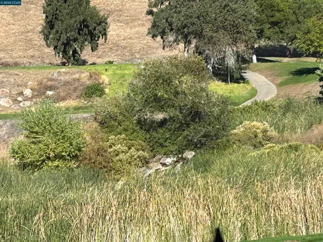 a view of yard with green space