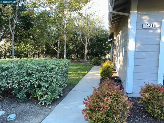 a view of a pathway with a yard