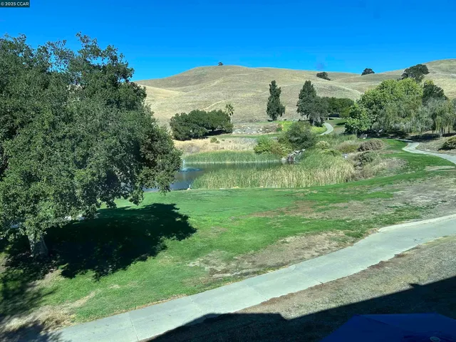 a view of a garden with a building in the background
