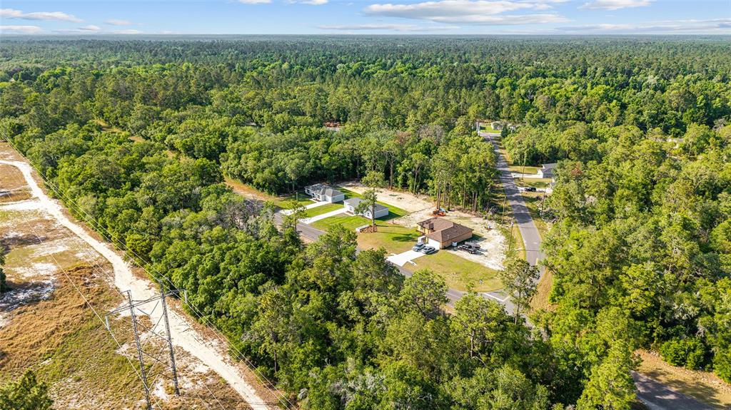 360 Locust Road Ocala, FL 34472 - Photo 36 of 48 a view of a bunch of trees and bushes