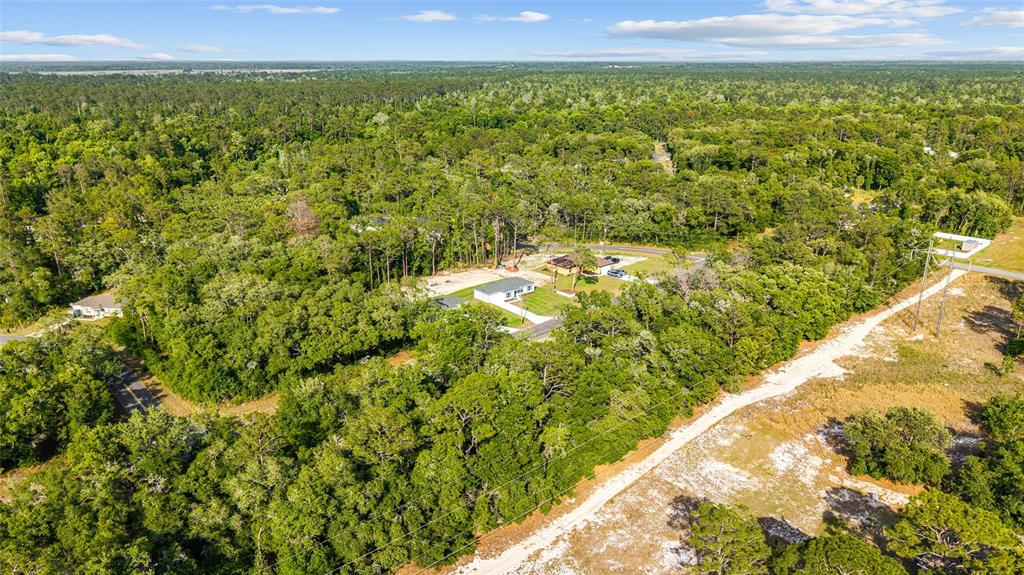 360 Locust Road Ocala, FL 34472 - Photo 37 of 48 a view of a yard with an outdoor space