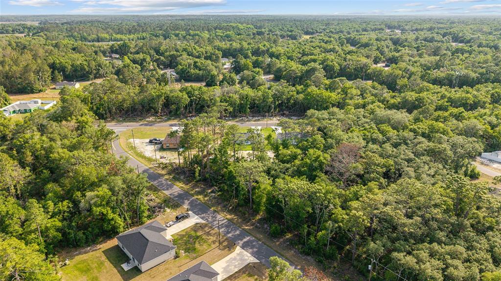 360 Locust Road Ocala, FL 34472 - Photo 45 of 48 an aerial view of residential houses with outdoor space and trees