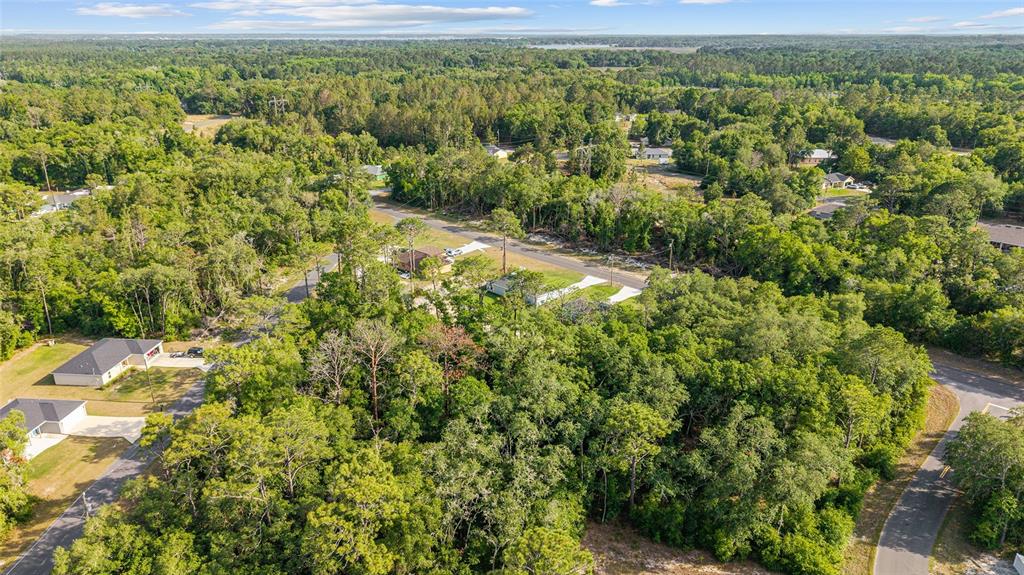 360 Locust Road Ocala, FL 34472 - Photo 46 of 48 a view of a yard with an outdoor space