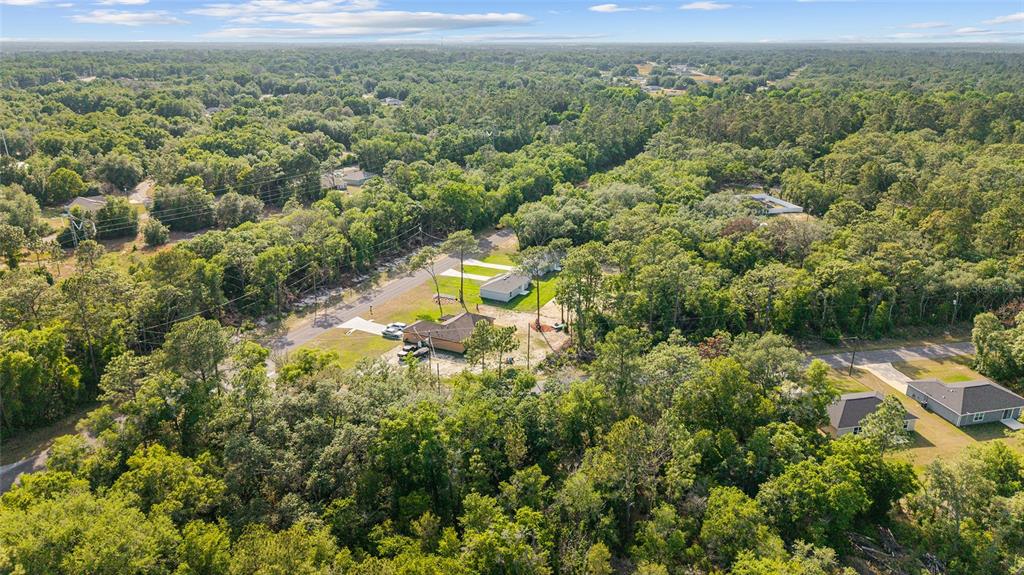 360 Locust Road Ocala, FL 34472 - Photo 47 of 48 an aerial view of residential houses with outdoor space and trees