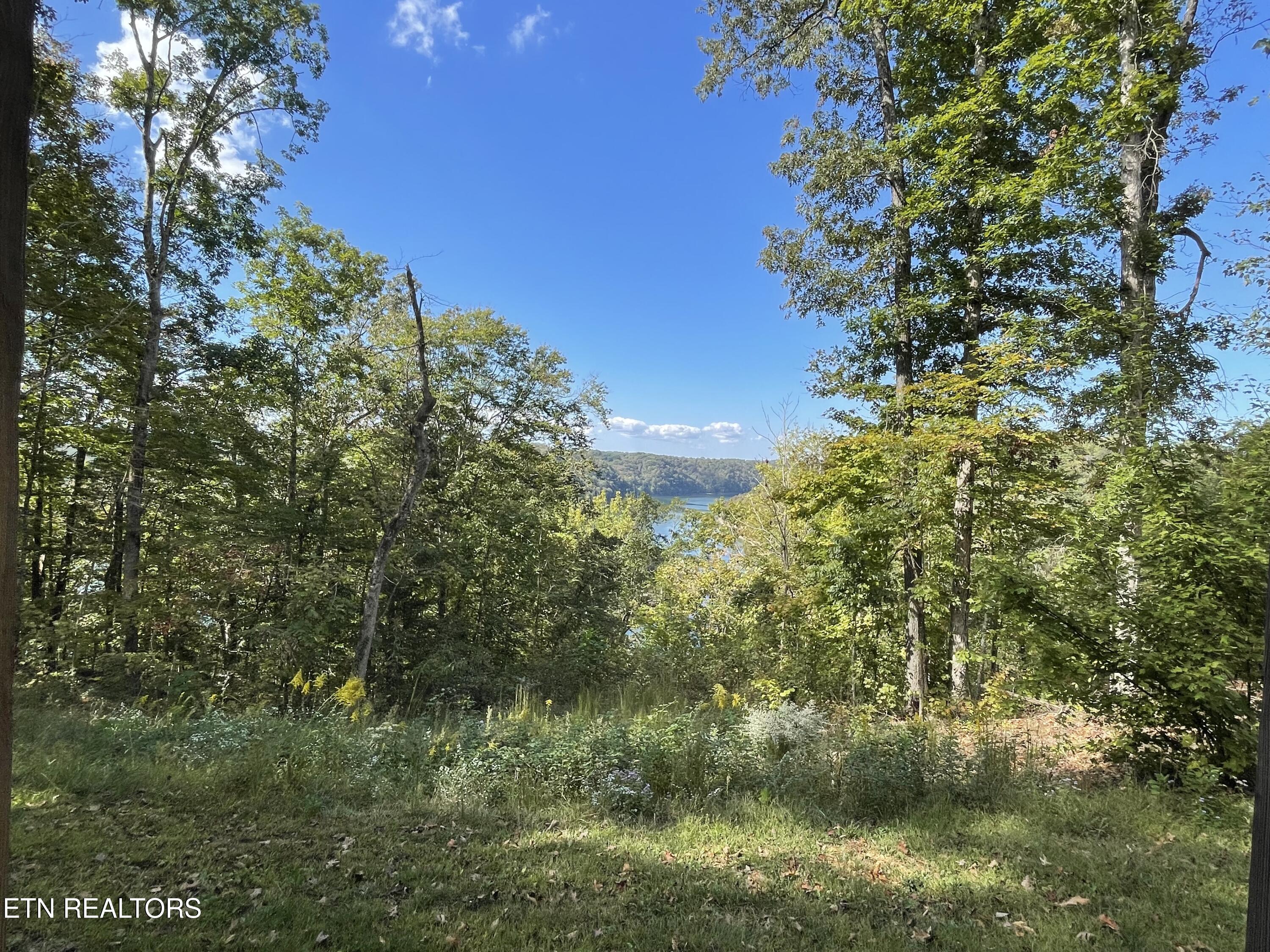 140 Rindler Ridge Byrdstown, TN 38549 - Photo 13 of 39 IMG_8701