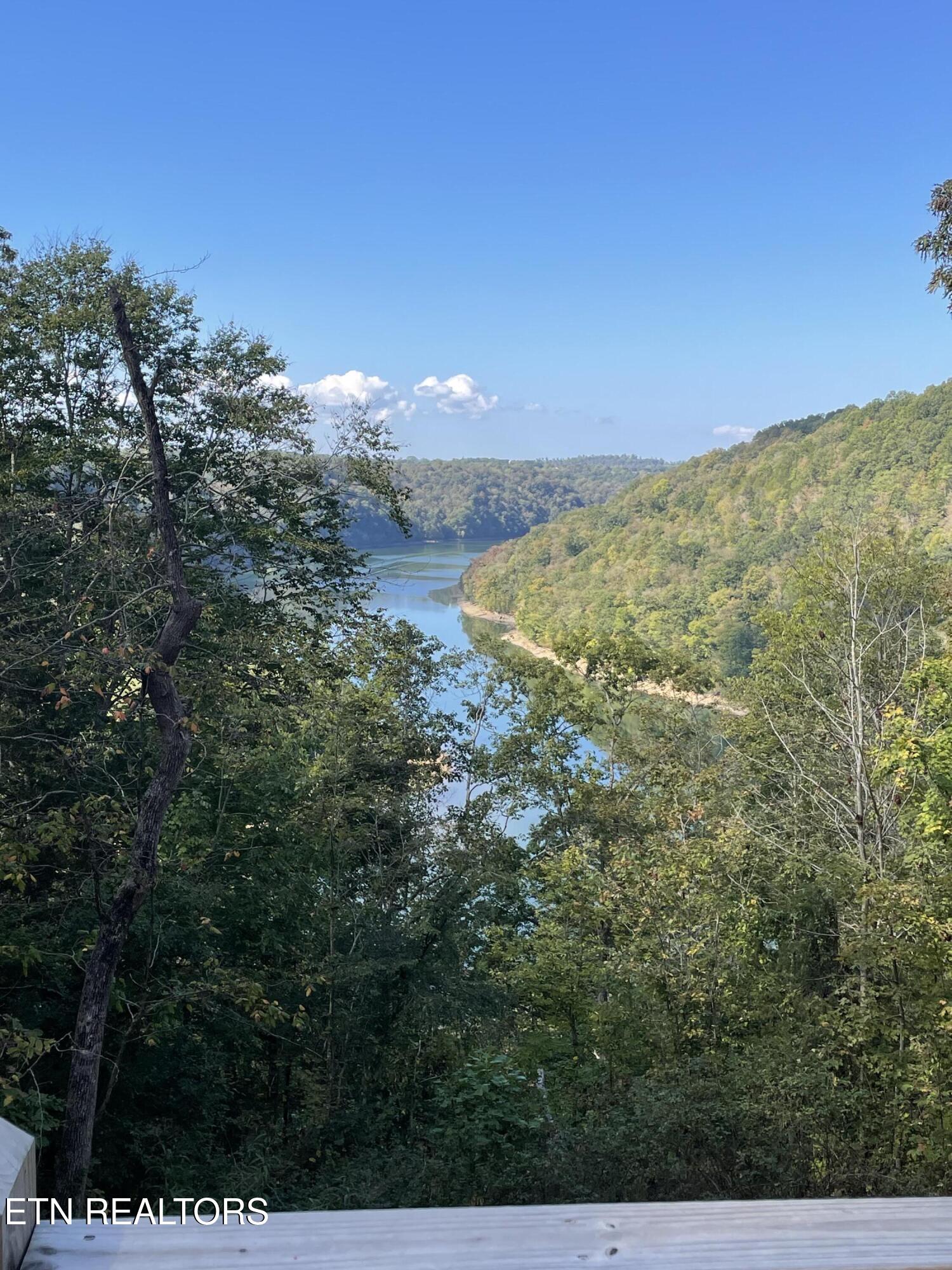 140 Rindler Ridge Byrdstown, TN 38549 - Photo 8 of 39 IMG_8684