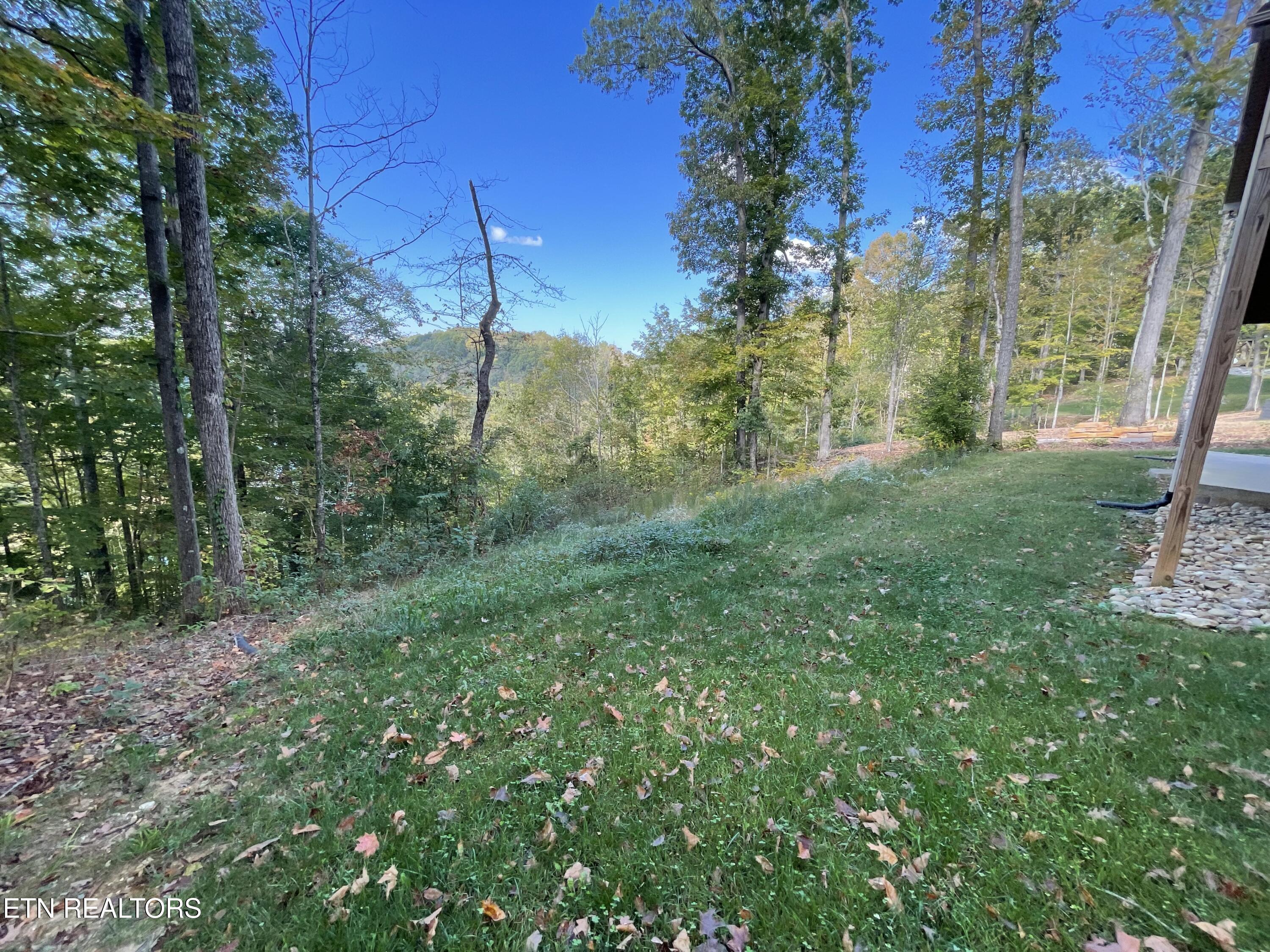 140 Rindler Ridge Byrdstown, TN 38549 - Photo 10 of 39 IMG_8695