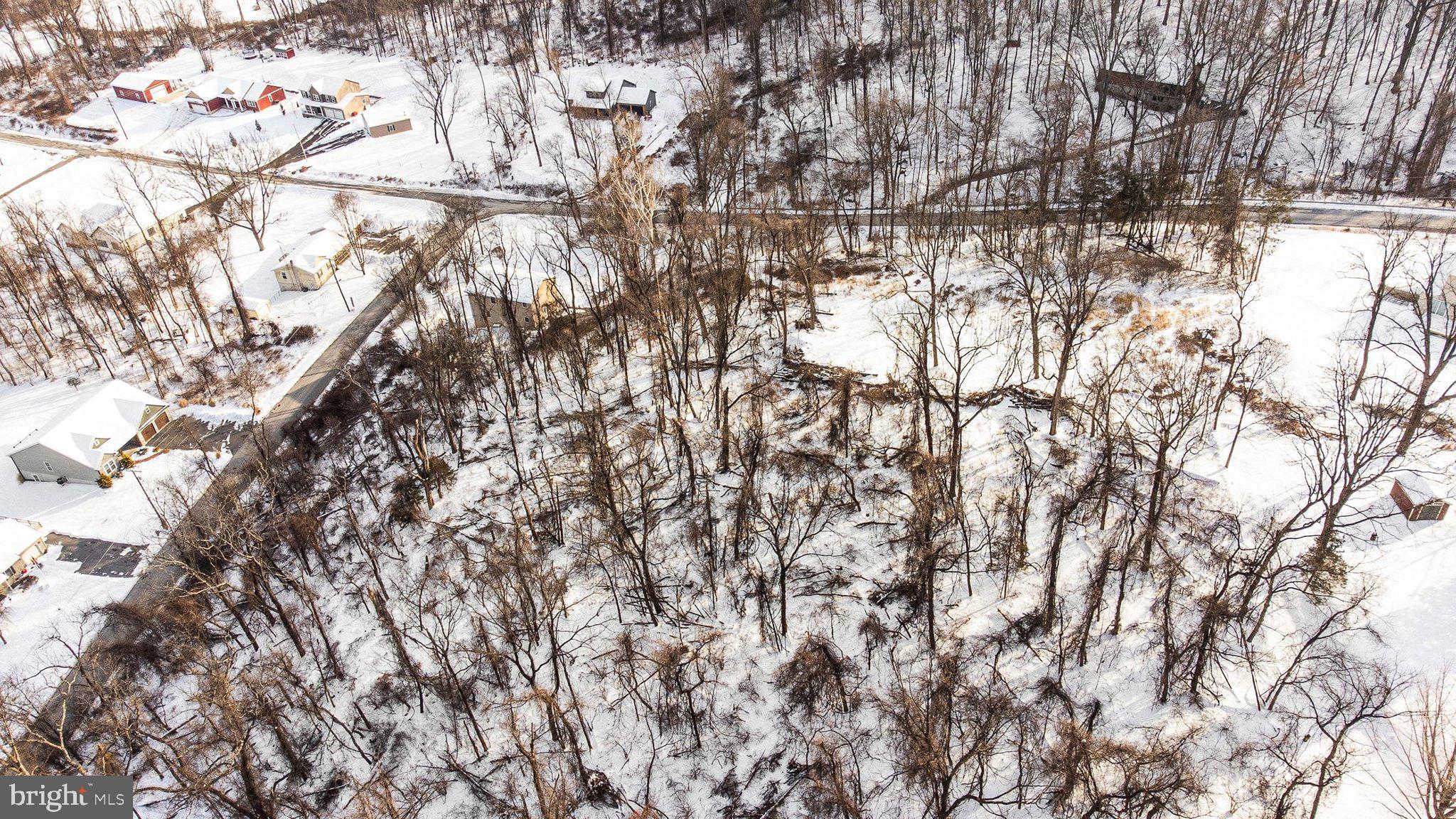 72 Ranch Trail Fairfield, PA 17320 - Photo 6 of 12 a picture of tree