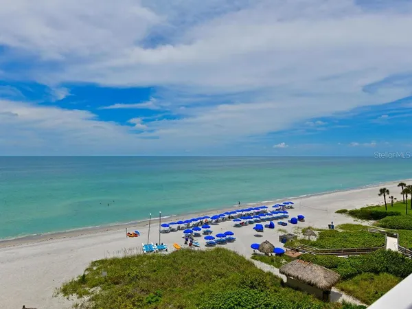 a view of a yard in front of a house