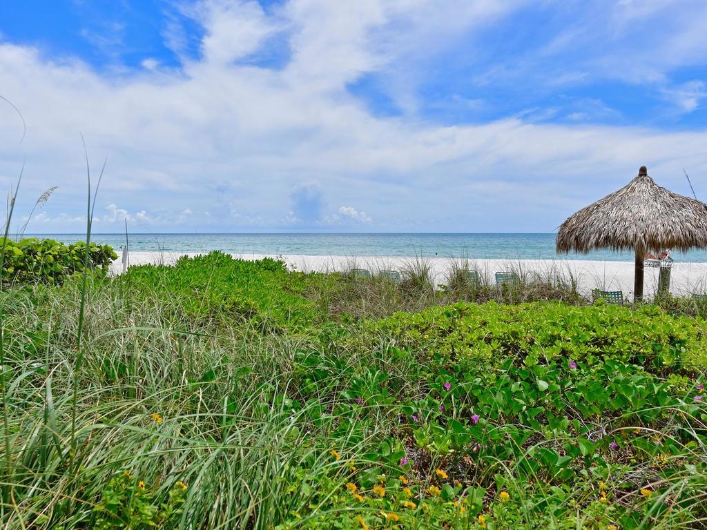 2425 Gulf Of Mexico Drive, Unit 7F Longboat Key, FL 34228 - Photo 44 of 50 a view of a garden