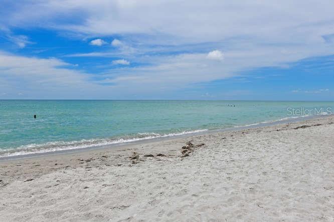 2425 Gulf Of Mexico Drive, Unit 7F Longboat Key, FL 34228 - Photo 5 of 50 a view of a beach and a yard