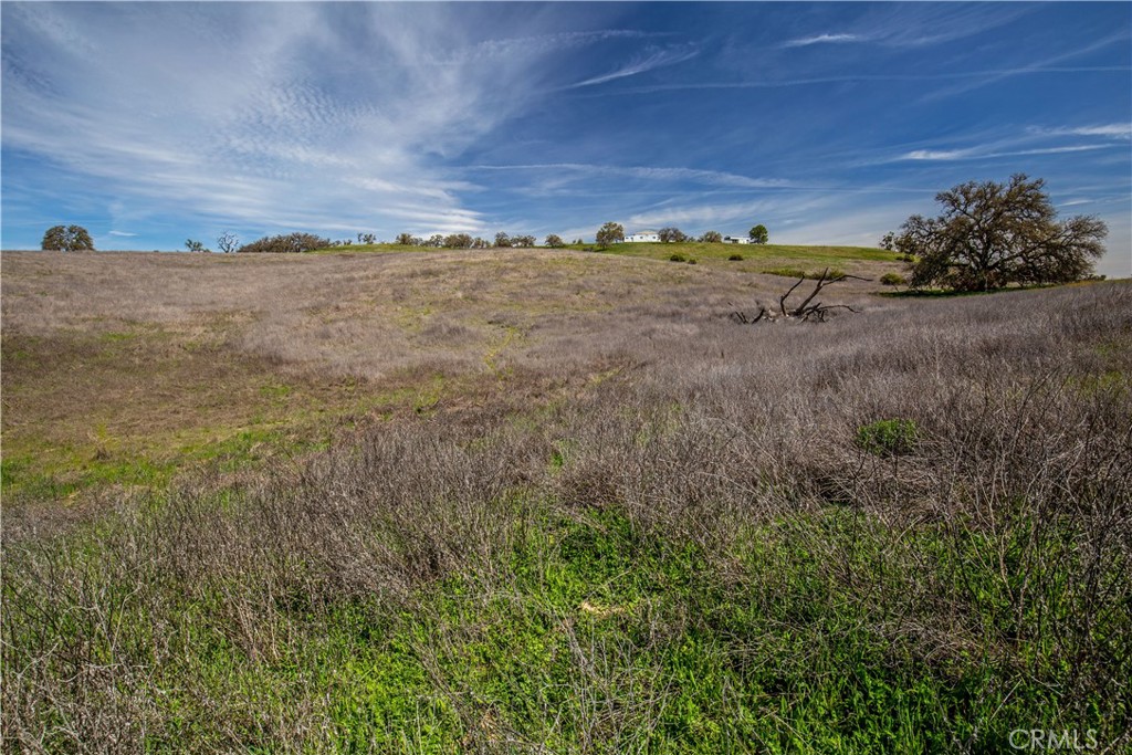 930 Windwood Road Paso Robles, CA 93446 - Photo 34 of 68 Gallery Image 34