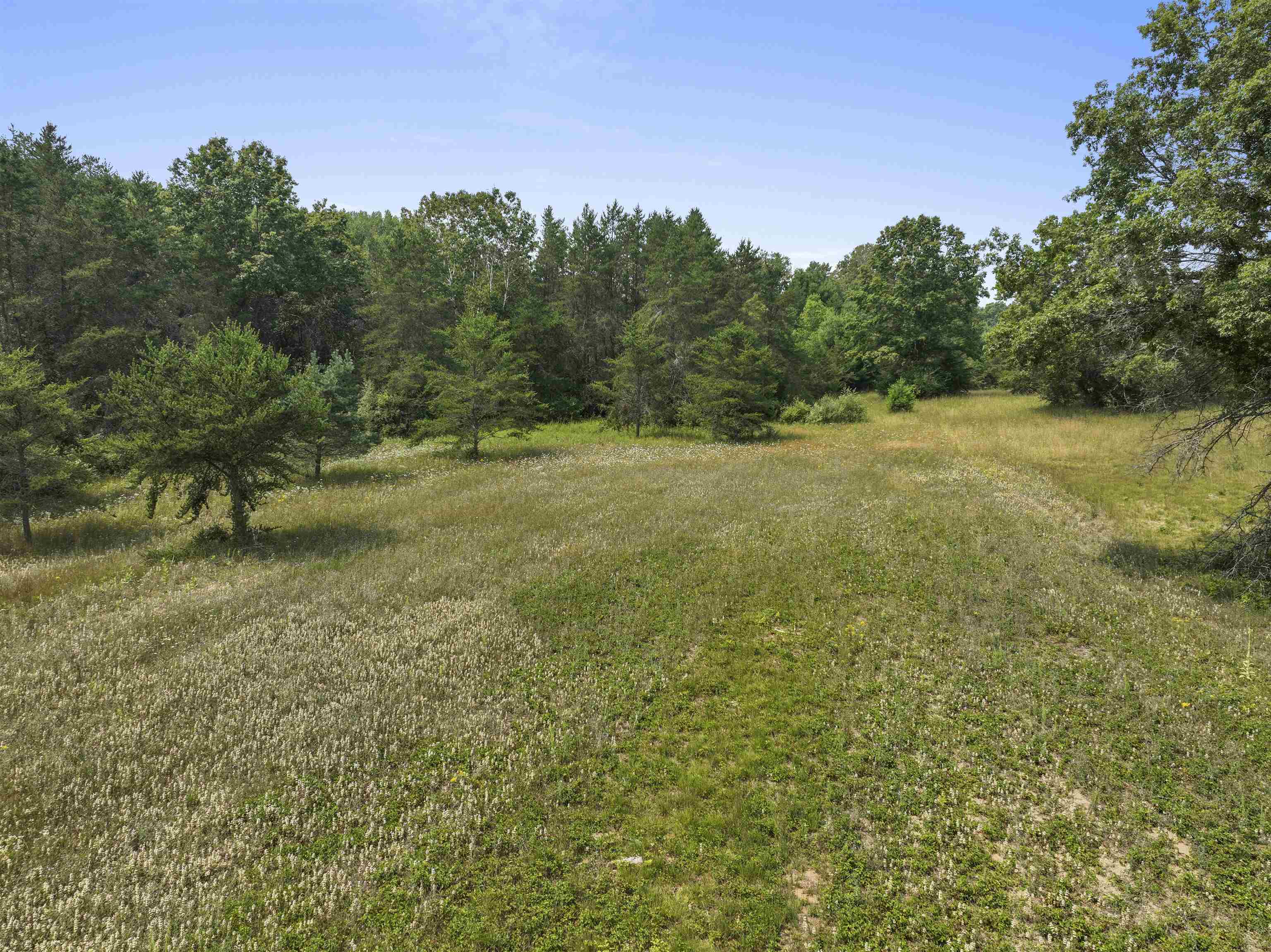 Hemlock Rd Lake Lake, MI 48632 - Photo 2 of 5 Gallery Image 2