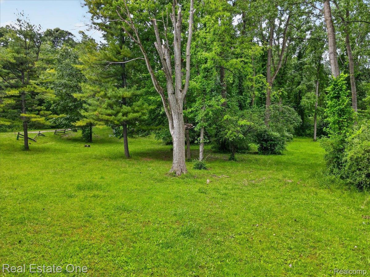 425 Courtney Road Leonard, MI 48367 - Photo 86 of 89 Expansive grassy yard area with mature trees and dense woodland