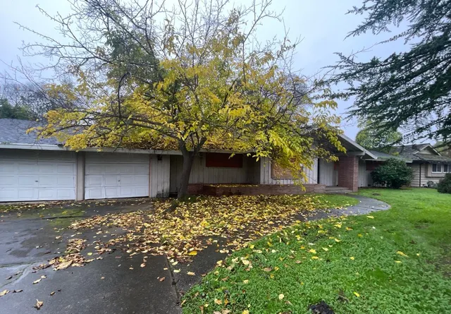 a house with a tree in front of it