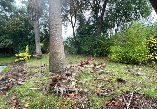 $520,000 | 3738 Robertson Avenue, Sacramento, CA 95821