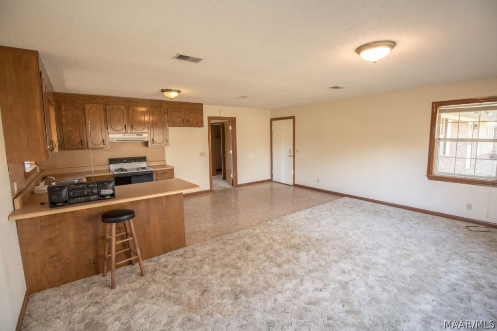 330 Lamar Street Samson, AL 36477 - Photo 21 of 31 Gallery Image 21